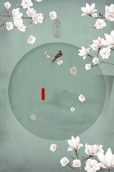 背部精油按摩视频